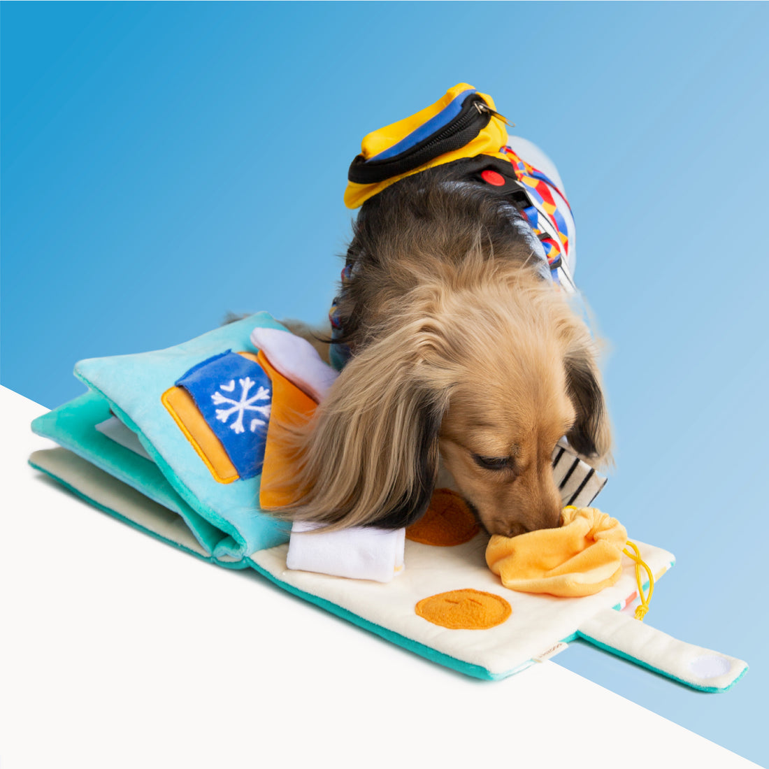 Poozpet 7Twelve Snuffle Toy