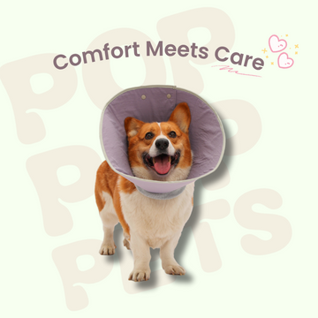 Pop Pop Soft Drawstring Recovery Cone