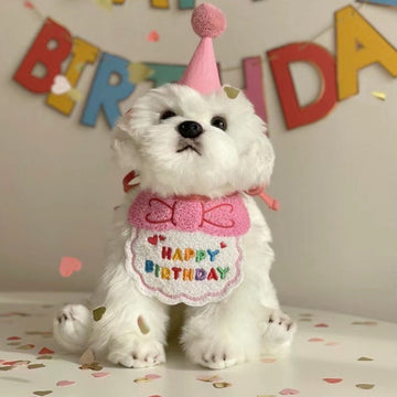 Adorable Birthday Bandana & Party Hat for Dog/Cat