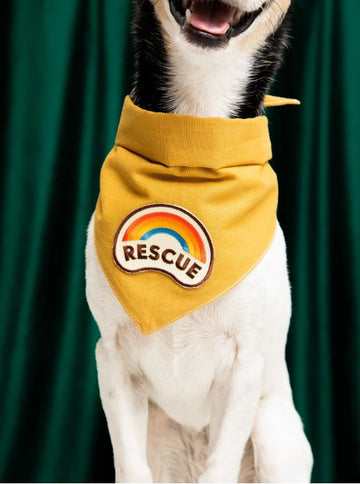 Scout's Honour (Ironed-On Patches) - Rescue
