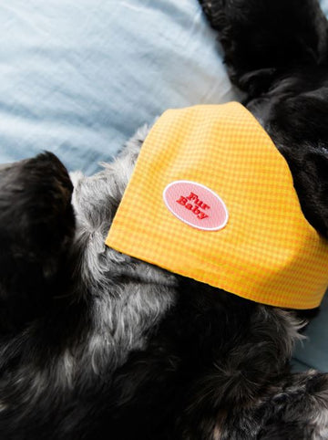 Scout's Honour (Ironed-On Patches) - Fur Baby