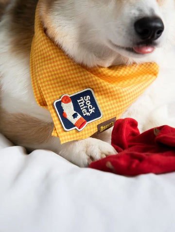 Scout's Honour (Ironed-On Patches) - Sock Thief