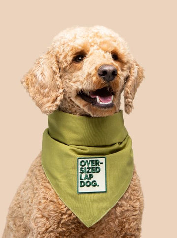 Scout's Honour (Ironed-On Patches) - Oversized Lap Dog