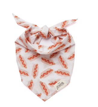 The Paws Sizzle Bandana
