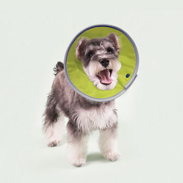 Comfy Soft Cone Drawstring (No Velcro) Elizabethan Collar Recovery for Post Surgery Dogs/ Cats