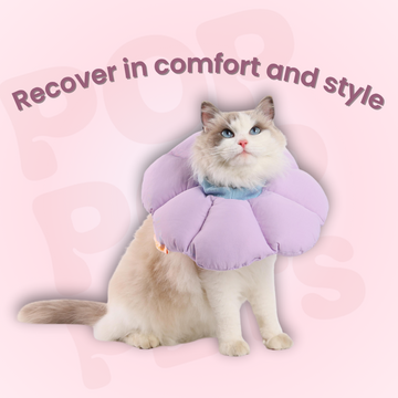 Pop Pop Soft Drawstring Recovery Cone