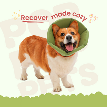Pop Pop Soft Drawstring Recovery Cone