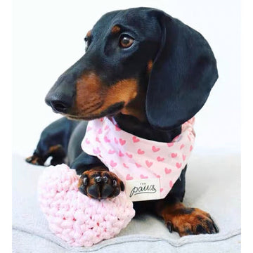 The Paws Miss Muffy Bandana