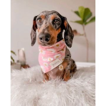 The Paws Pink Daisy Chains Bandana
