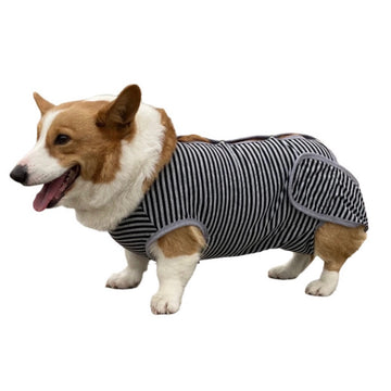 Post Surgery Anti Licking Recovery Suit