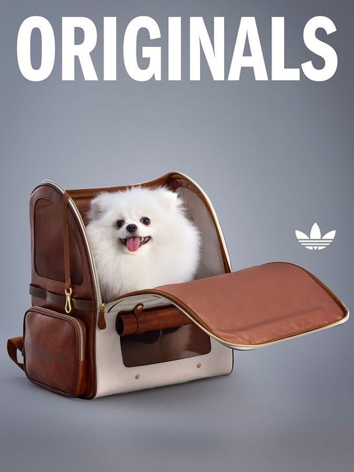 adidas animal backpack LIMITED DROP* Adidas Originals Pet Carrier 2025 F/W collection