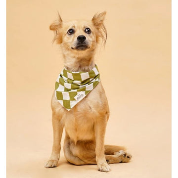 The Paws Checkmate Bandana