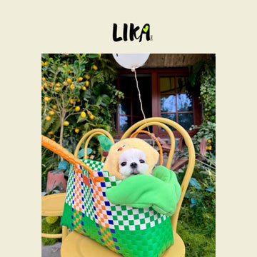 Likapaws Pet Carrier