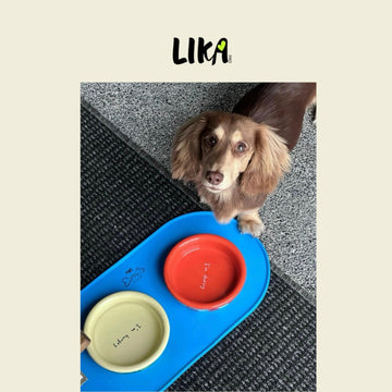 Likapaws Ceramic Bowl / Placemat