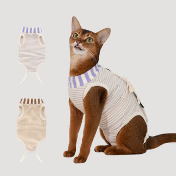 Post Surgery Anti Licking Recovery Suit for Cats