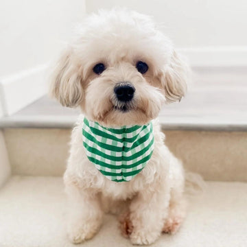 The Paws Classic Green Check Bandana