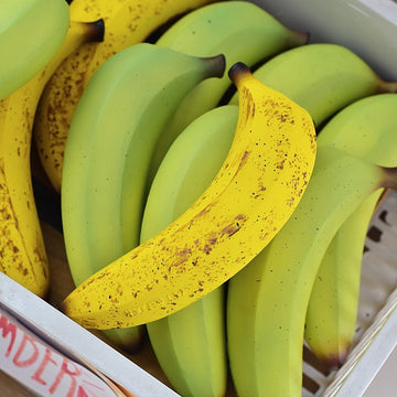 Banana Rubber Squeaky Toy for Dogs