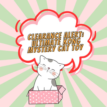 Clearance Alert: Ultimate Kong Mystery Cat Toy – Unbeatable Price, Limited Stock!