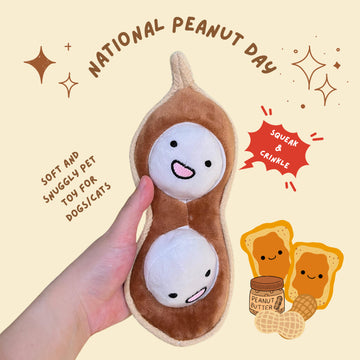 Peanut Pod Squeaky & Crinkly Toy