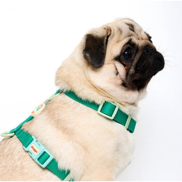 Doggu Sport Club Harness / Leash