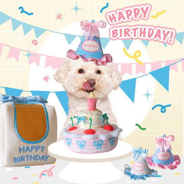 Poozpet Birthday Box Snuffle Toy