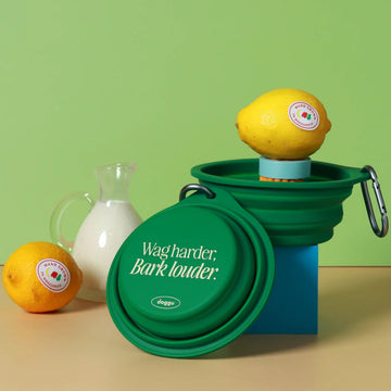 Doggu Collapsible Pet Bowl