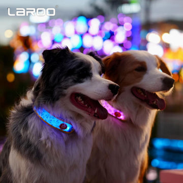 LaRoo Night Light Patch for Dogs / Cats