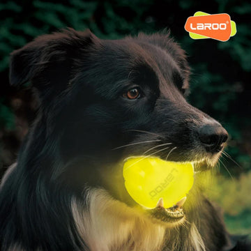 Laroo Shooting Star Safe Glow Ball for Dogs