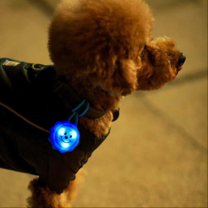 LaRoo Night Light for Dogs / Cats