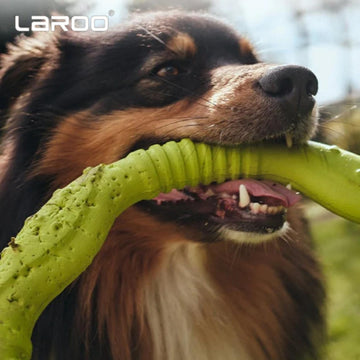 LaRoo Chew & Tug Ring Toy for Dogs