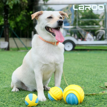 Laroo Squeaky Ball for Dogs