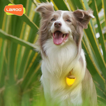 LaRoo Night Light Nut Blinker for Dogs / Cats