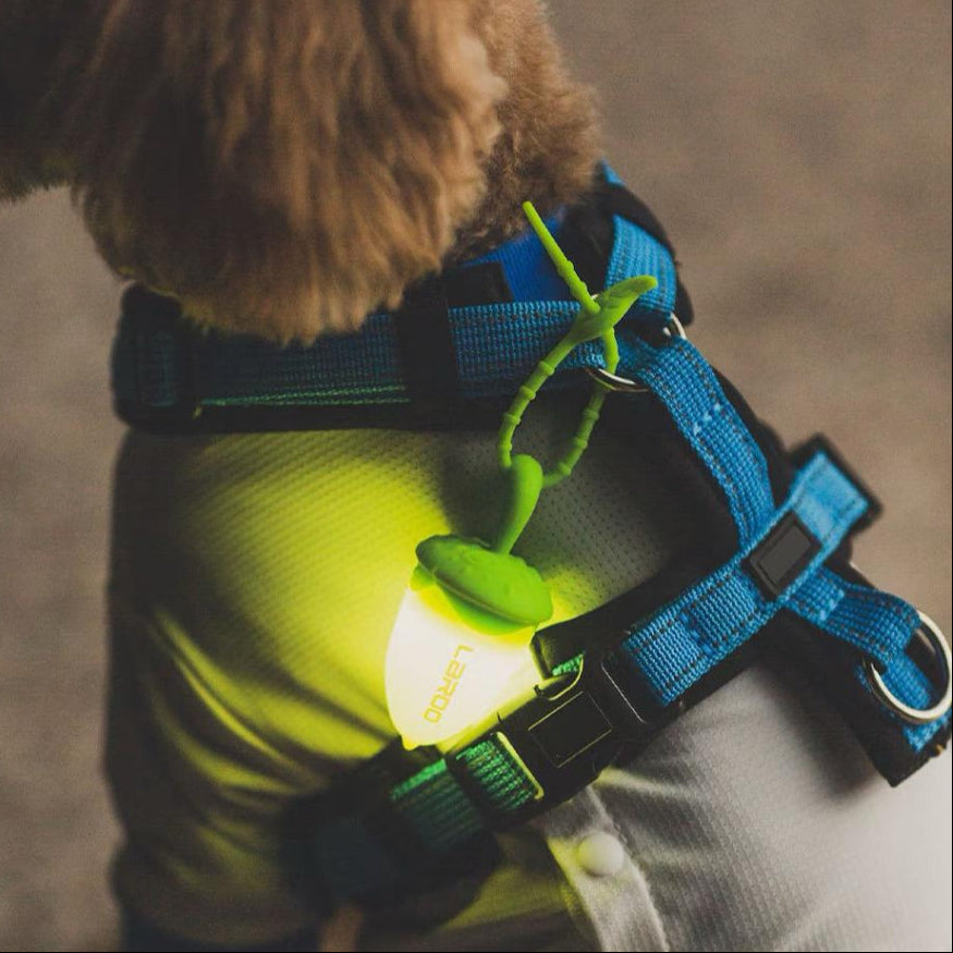 LaRoo Night Light Nut Blinker for Dogs / Cats