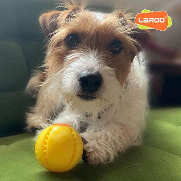 LaRoo Interactive Treat Ball for Dogs
