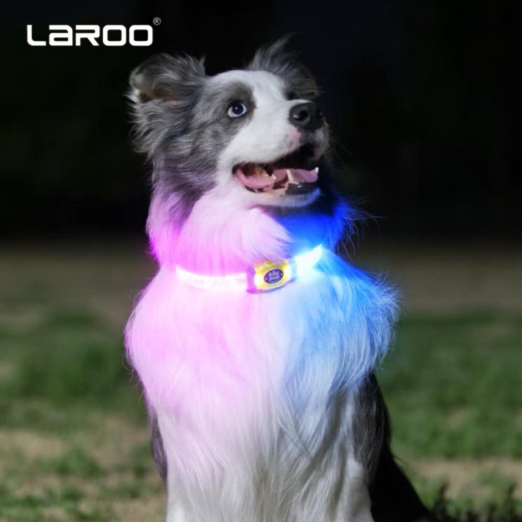LaRoo Night Light Jelly Collar for Dogs / Cats