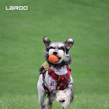LaRoo Squeaky Chew Toy for Dogs