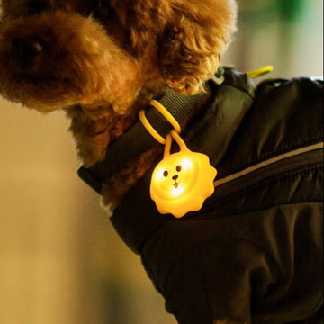 LaRoo Night Light for Dogs / Cats