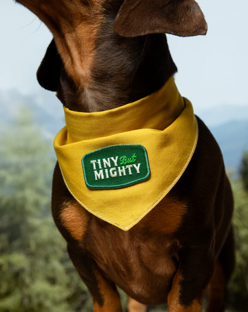 Scout's Honour (Ironed-On Patches) - Tiny But Mighty