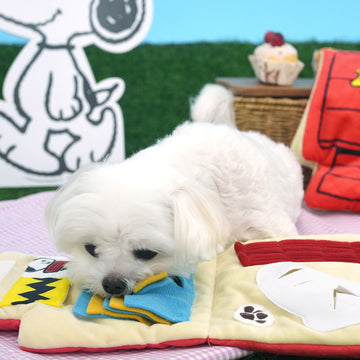 Peanuts Korea Play Mat