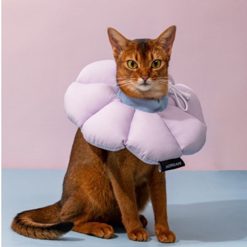 Soft Cone Drawstring Elizabethan Collar Recovery for Post Surgery Dogs