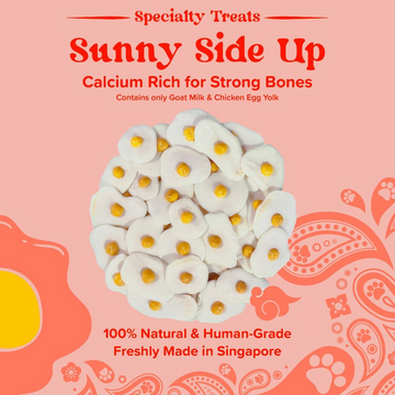Furmily Sunny Side Up Handmade Treats for Pets (60g)