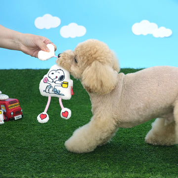 Peanuts Korea Signature Tug Toy