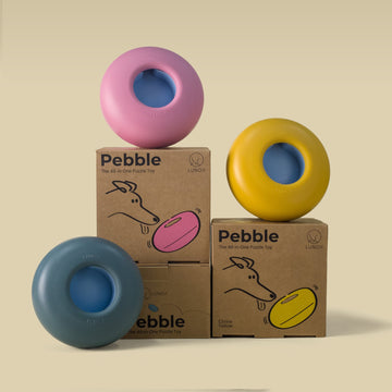 Lunoji Pebble Puzzle Toy