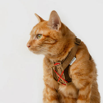 Sputnik Ultra Explore UX Harness