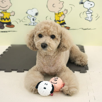 Peanuts Snoopy Peel Off Ball Toy