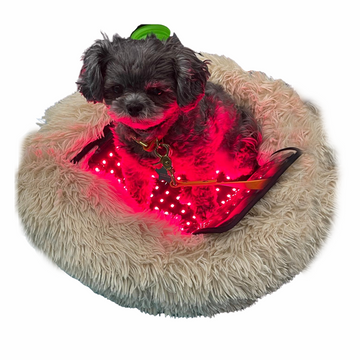 PBM Light Therapy Pet Mat