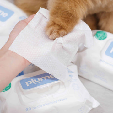 Plume Care Gentle Cleansing Wet Wipes for Dogs & Cats - Sensitive Skin