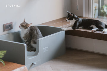 Sputnik Cat Litter Box