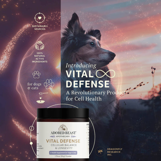 Adored Beast Vital Defense Cellular Support 50g