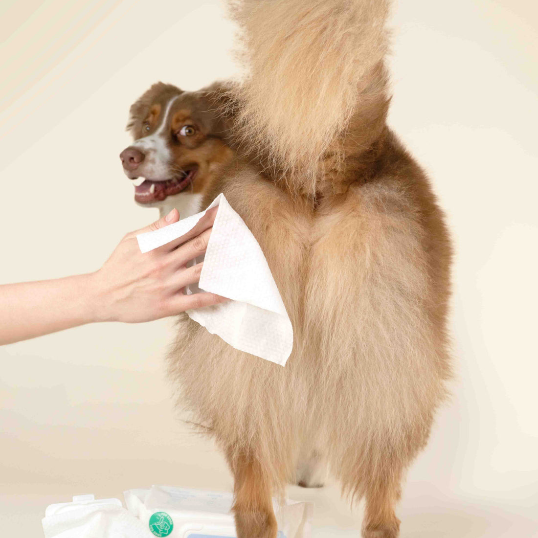 Plume Care Gentle Cleansing Wet Wipes for Dogs & Cats - Sensitive Skin